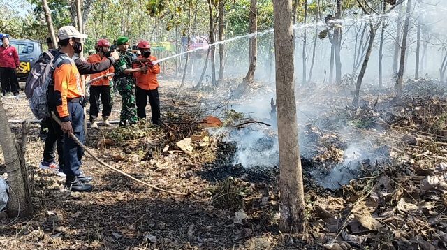 perhutani jombang