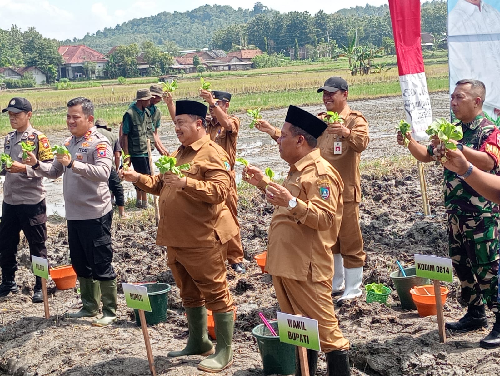 tembakau