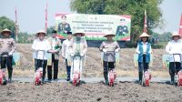 Dedi Prasetyo