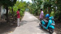 desa kedungbetik kedungbetik